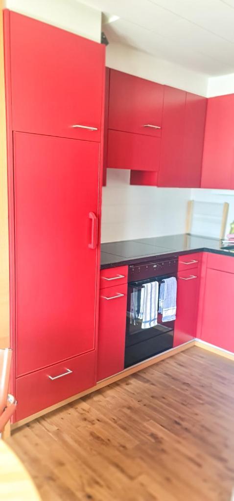 Bussalp Apartment - Aare Jungfrau Ag Гріндельвальд Екстер'єр фото