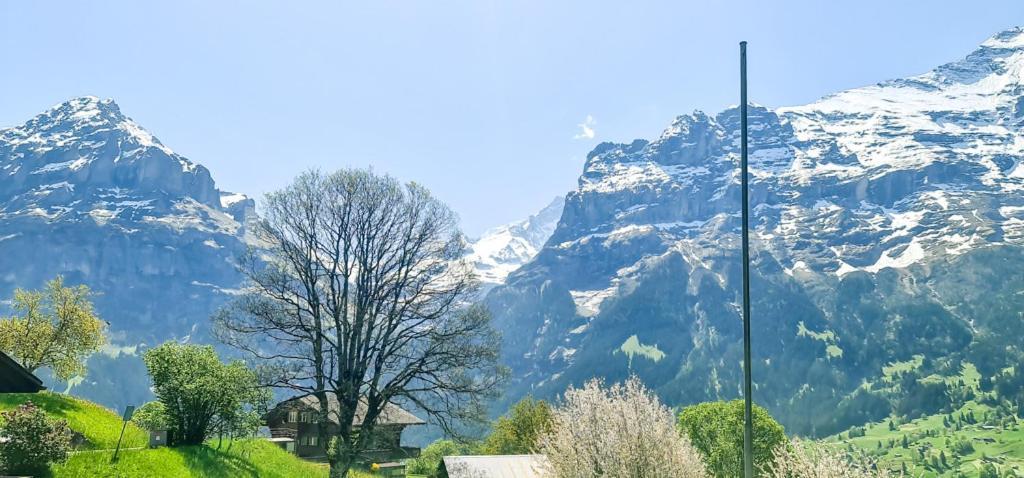 Bussalp Apartment - Aare Jungfrau Ag Гріндельвальд Екстер'єр фото