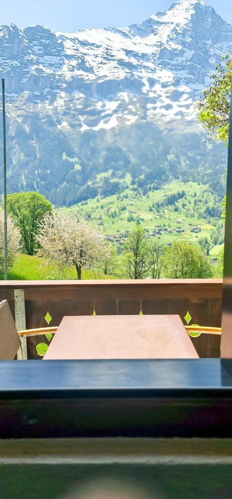 Bussalp Apartment - Aare Jungfrau Ag Гріндельвальд Екстер'єр фото